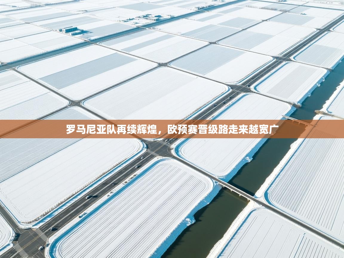 罗马尼亚队再续辉煌,欧预赛晋级路走来越宽广 第2张