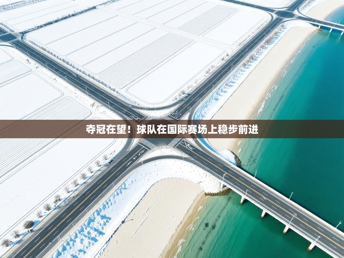 夺冠在望！球队在国际赛场上稳步前进