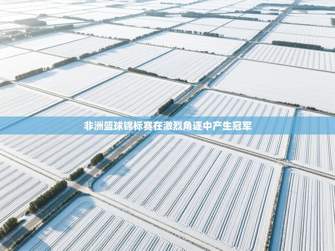 非洲篮球锦标赛在激烈角逐中产生冠军  第1张