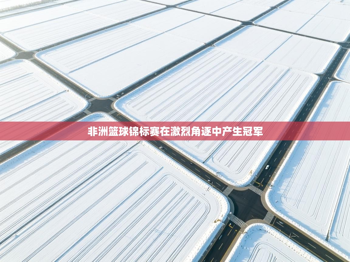 非洲篮球锦标赛在激烈角逐中产生冠军  第2张