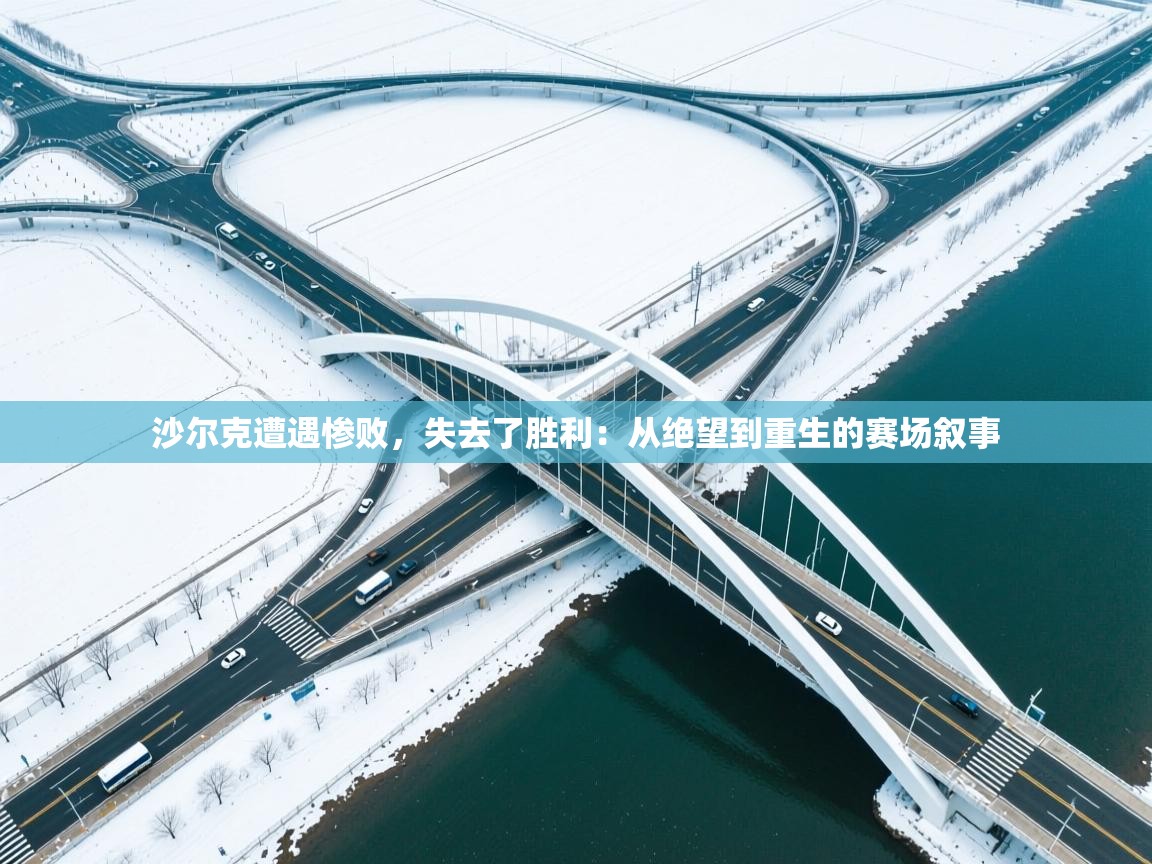 沙尔克遭遇惨败，失去了胜利：从绝望到重生的赛场叙事  第1张