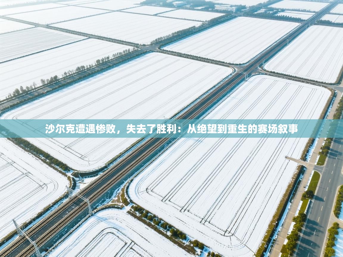 沙尔克遭遇惨败，失去了胜利：从绝望到重生的赛场叙事  第2张