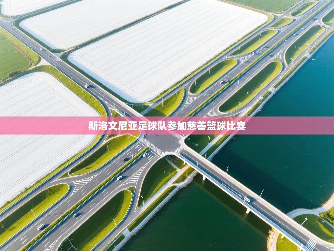 斯洛文尼亚足球队参加慈善篮球比赛 第1张