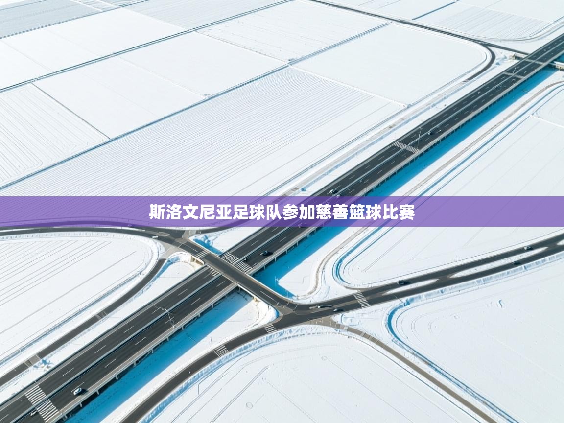 斯洛文尼亚足球队参加慈善篮球比赛 第2张