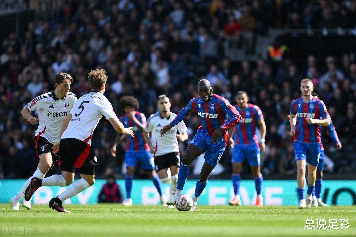 半岛体育平台官网-南安普顿客场不敌富勒姆，积分榜逐渐下滑的简单介绍