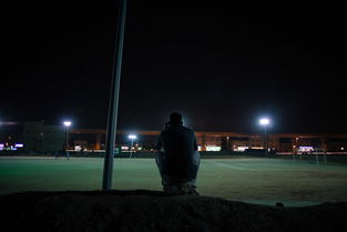 半岛体育平台官网-阿尔希拉尔伤病恢复进展顺利，期待发挥