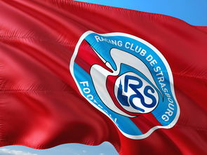 半岛体育登录入口-帕尔梅拉斯主帅战术布置细致，力争半决赛全胜